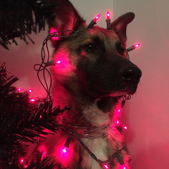 Newly Engaged & Excited to Raise $ 4 Our Wedding - Picture 14 of 16